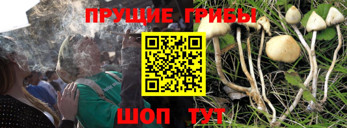 Псилоцибиновые грибы Psilocybe  Вход с VPN  наркотики  Вичуга  Галлюциногенные грибы MAGIC MUSHROOMS 